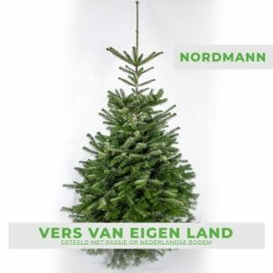 Robijn herder stijfheid Nordmann 175-200cm gezaagd - Echte kerstboom kopen