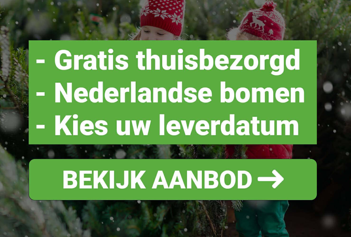 Oswald biologisch Verslinden Beste kerstboom aanbiedingen 2021, Online en Offline