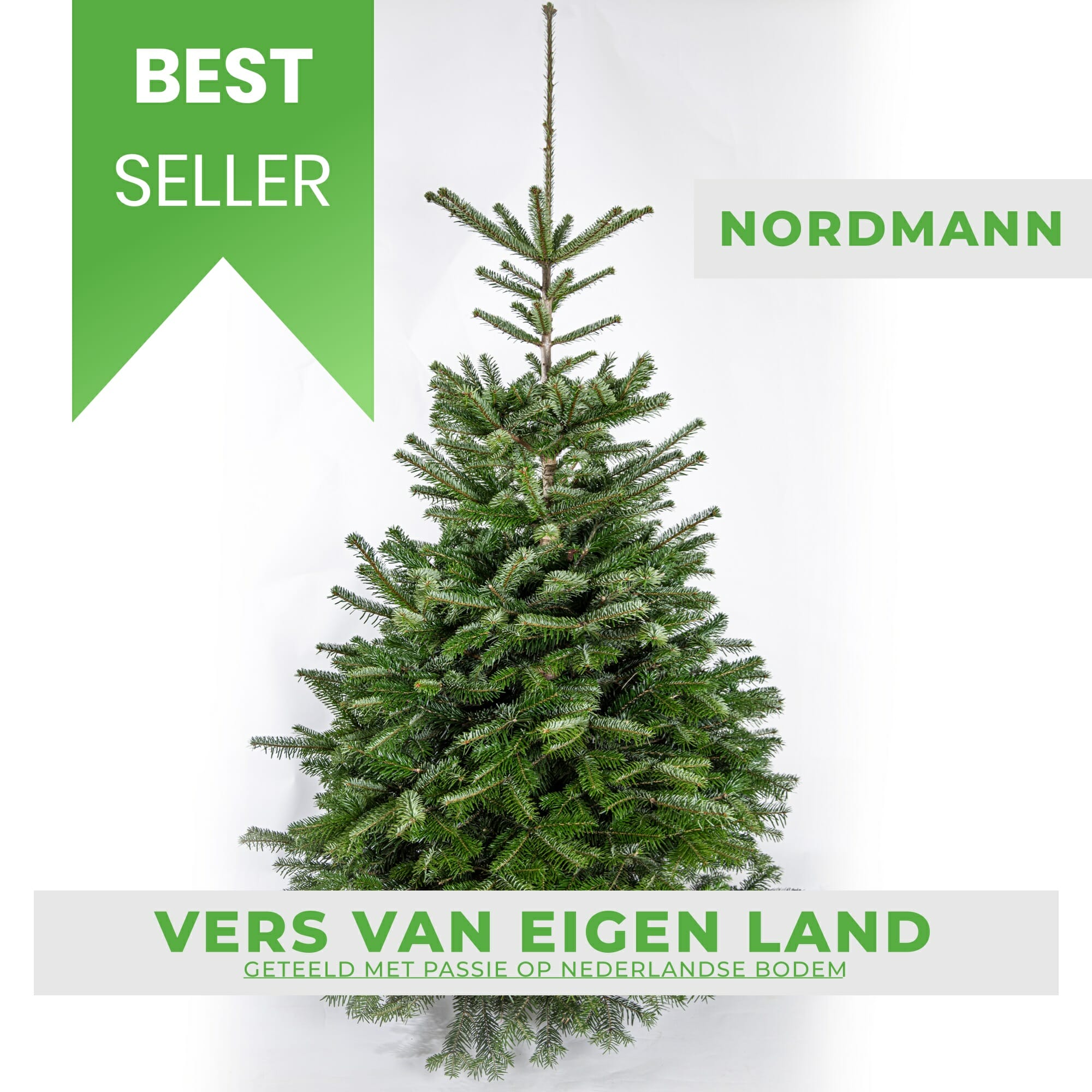 Oprechtheid kaping Contractie Nordmann 200-225cm gezaagd - Echte kerstboom kopen